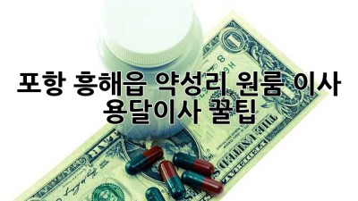 포항 흥해읍 약성리 원룸 이사, 용달이사 꿀팁!